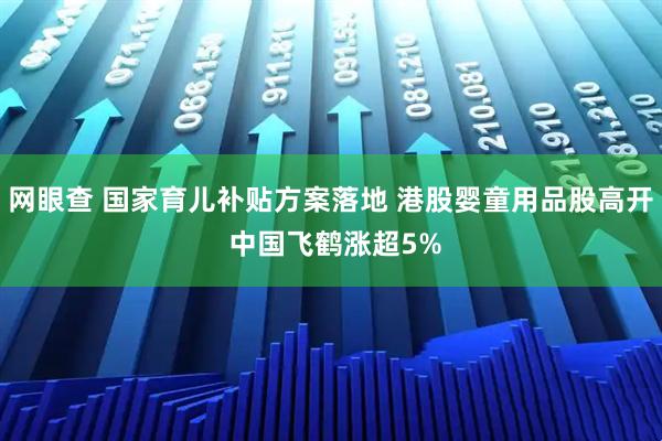 网眼查 国家育儿补贴方案落地 港股婴童用品股高开 中国飞鹤涨超5%