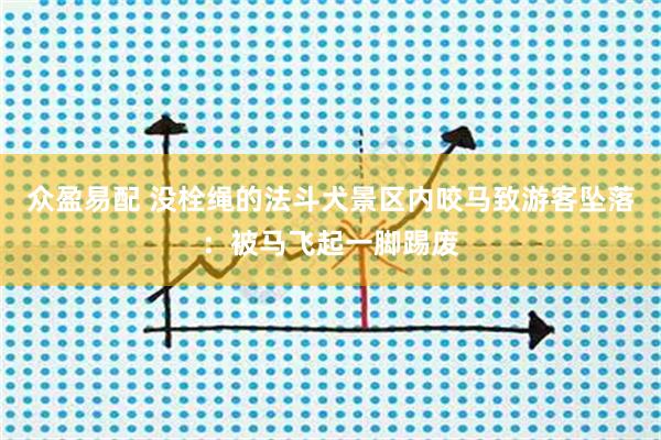 众盈易配 没栓绳的法斗犬景区内咬马致游客坠落：被马飞起一脚踢废